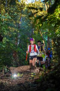 BIB: 
                            <button type="button" onclick="openModal(19241103)" class="btn btn-primary btn-sm float-right btn-popup" data-toggle="modal" data-target=".modal-high-quality">
                        <i class="fas fa-shopping-cart"></i> Add to Cart
                    </button>
                                            <button type="button" onclick="isThisMe(19241103, true)" class="btn btn-success btn-sm float-right btn-popup btn-isme hidden" data-toggle="tooltip" data-placement="bottom" title="นี่คือรูปของคุณใช่ไหม คลิกที่นี่เพื่อเอาเข้าอัลบั้ม">
                        <i class="fas fa-plus"></i> Add to album
                    </button>
                    <button type="button" onclick="isThisMe(19241103, false)" class="btn btn-warning btn-sm float-right btn-popup btn-isnotme hidden">
                        <i class="fas fa-ban"></i> Remove from album
                    </button>